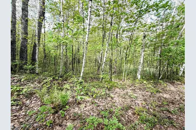 Lot 2 Peterson Rd, Wascott, WI 54859 - Photo 1