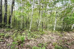 Lot 2 Peterson Rd, Wascott, WI 54859 - Photo 1