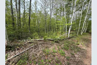 Lot 3 Peterson Rd, Wascott, WI 54859 - Photo 3