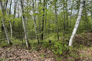 Lot 3 Peterson Rd, Wascott, WI 54859 - Photo 1