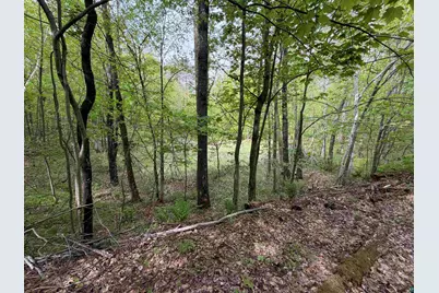 Lot 4 Peterson Rd, Wascott, WI 54859 - Photo 3