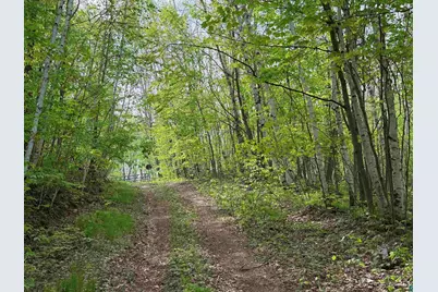 Lot 4 Peterson Rd, Wascott, WI 54859 - Photo 5