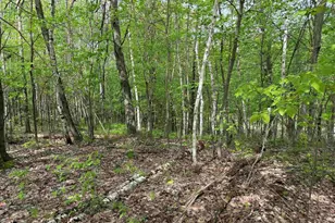 Lot 4 Peterson Rd, Wascott, WI 54859 - Photo 1