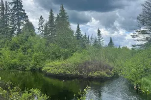 Xxx Camp 26 Rd, Finland, MN 55614 - Photo 1