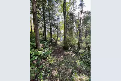 Xxxx Camp 26 Rd, Finland, MN 55603 - Photo 15