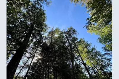 Xxxx Camp 26 Rd, Finland, MN 55603 - Photo 19