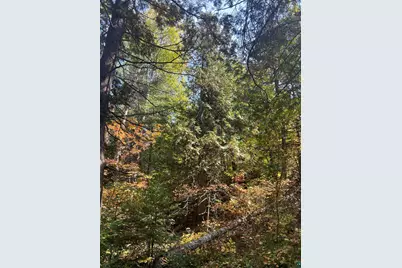 Xxxx Camp 26 Rd, Finland, MN 55603 - Photo 11