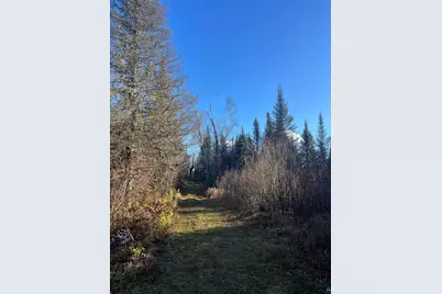 Tbd Heffelfinger Tr, Finland, MN 55603 - Photo 25