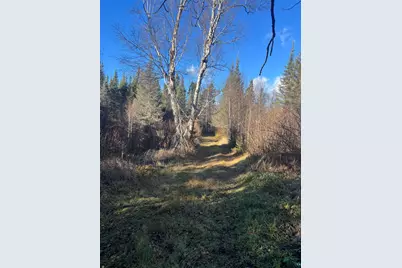 Tbd Heffelfinger Tr, Finland, MN 55603 - Photo 11