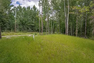 3666 Mackie Rd, Ely, MN 55731 - Photo 57