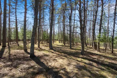 9137 McCamus Rd, Brookston, MN 55711 - Photo 27