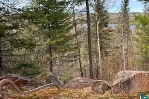 16 Osprey Trail, Lutsen, MN 55612 - Photo 89