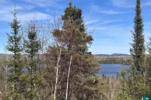 16 Osprey Trail, Lutsen, MN 55612 - Photo 85