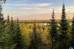 16 Osprey Trail, Lutsen, MN 55612 - Photo 77