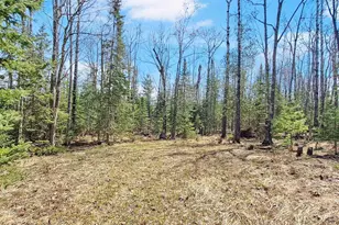 Xxx Mondamin Trail, La Pointe, WI 54850 - Photo 1