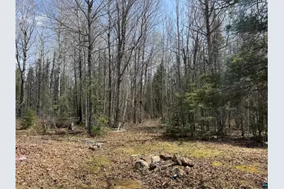 3898 Highway 2, Two Harbors, MN 55616 - Photo 5