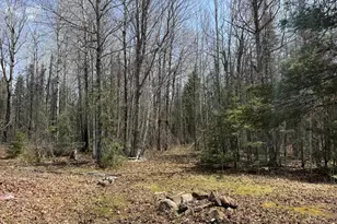 3898 Hwy 2, Two Harbors, MN 55616 - Photo 5