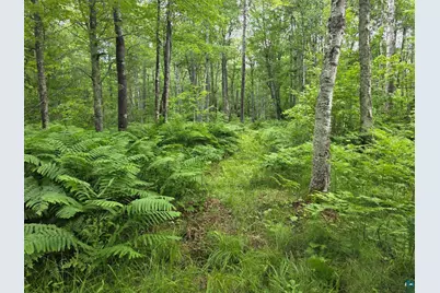 1567 North Shore Rd, La Pointe, WI 54850 - Photo 3