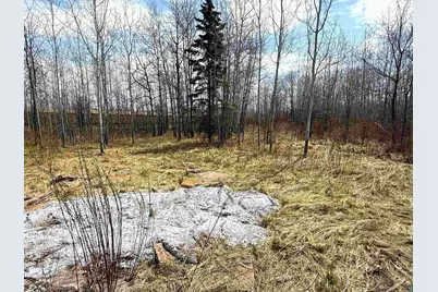 321 40th Ave E, Superior, WI 54880 - Photo 3