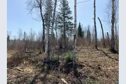 2102-12 N Bear Lake Rd, Brimson, MN 55602 - Photo 7