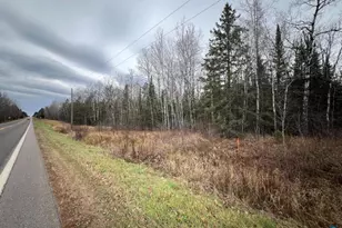 Tbd Townline Rd, Hibbing, MN 55746 - Photo 1