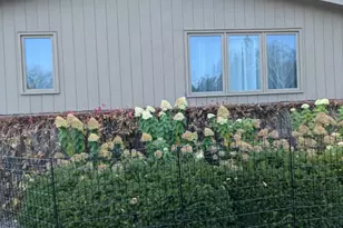 529 Valley Dr, Duluth, MN 55804 - Photo 83