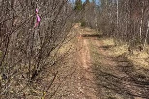 Xx Blueberry Hill Rd, Two Harbors, MN 55616 - Photo 37