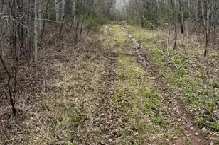 Xx Blueberry Hill Rd, Two Harbors, MN 55616 - Photo 33