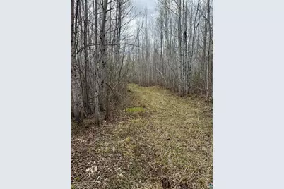Xx Blueberry Hill Rd, Two Harbors, MN 55616 - Photo 29