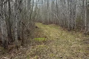 Xx Blueberry Hill Rd, Two Harbors, MN 55616 - Photo 29