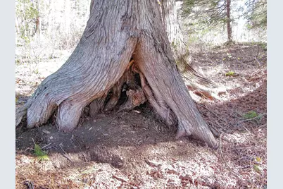 Yyy Big Cedar Trl, Lutsen, MN 55612 - Photo 25