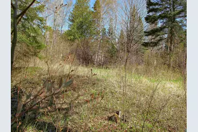 Yyy Big Cedar Trl, Lutsen, MN 55612 - Photo 39