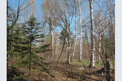 Yyy Big Cedar Trl, Lutsen, MN 55612 - Photo 33