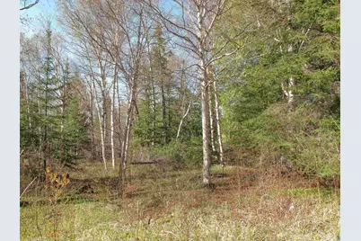 Yyy Big Cedar Trl, Lutsen, MN 55612 - Photo 11