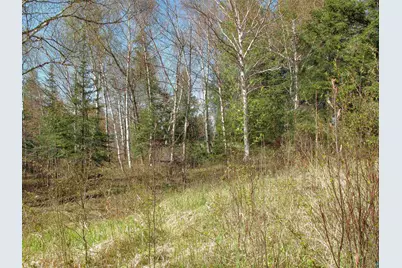 Yyy Big Cedar Trl, Lutsen, MN 55612 - Photo 55