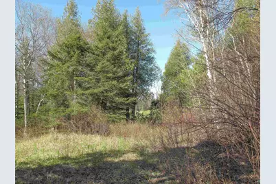 Yyy Big Cedar Trl, Lutsen, MN 55612 - Photo 1