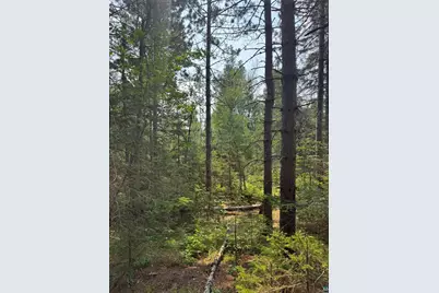 Xx High Ridge Dr, Schroeder, MN 55614 - Photo 5