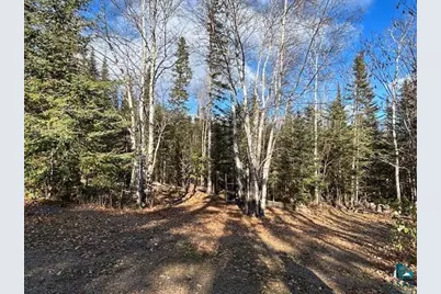 1301 W Highway 61, Grand Marais, MN 55604 - Photo 19
