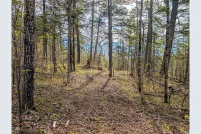 992 Nemadji River Rd, Holyoke, MN 55749 - Photo 7