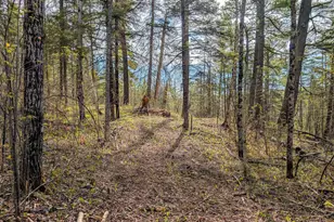 992 Nemadji River Rd, Holyoke, MN 55749 - Photo 7