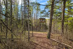 992 Nemadji River Rd, Holyoke, MN 55749 - Photo 13