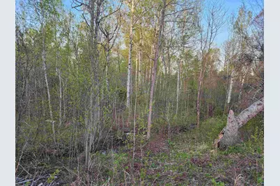 18 Snowshoe Tr, Tofte Township, MN 55615 - Photo 15