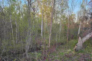 18 Snowshoe Trail, Tofte Township, MN 55615 - Photo 15