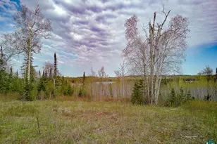 21 Pinetree Dr, Lutsen Township, MN 55612 - Photo 1