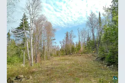 21 Pine Tree Dr, Lutsen Township, MN 55612 - Photo 47