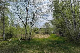 9086 Green Rd, Hibbing, MN 55746 - Photo 29