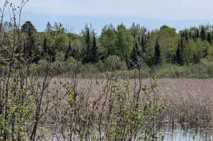 9086 Green Rd, Hibbing, MN 55746 - Photo 21