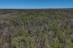 4715 Hefflefinger Rd, Finland, MN 55603 - Photo 9