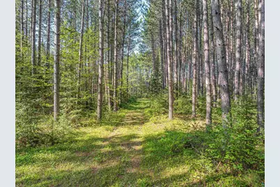 2685 Elliots Lake Rd, Eveleth, MN 55734 - Photo 17