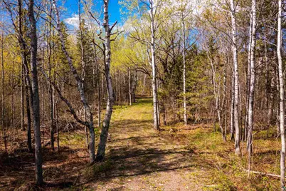 49Xx Morris Thomas Rd, Hermantown, MN 55811 - Photo 3